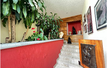 Galería 4